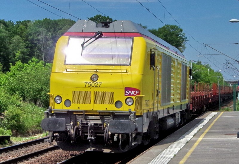 75027 (2019-05-24 gare de Mennessis) (1).jpg