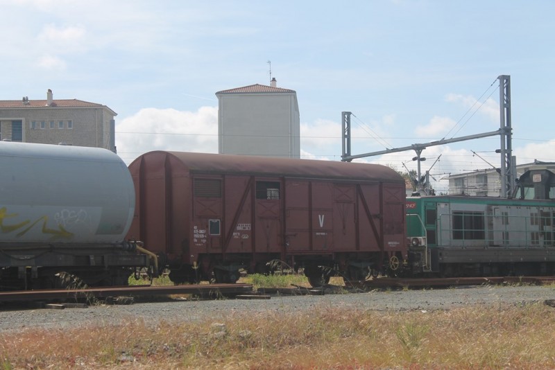 IMG_7794 (Copier).JPG