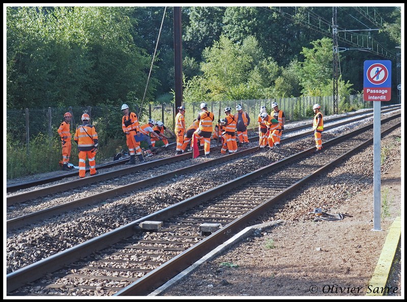 Préparation au  Dégarnissage.jpg