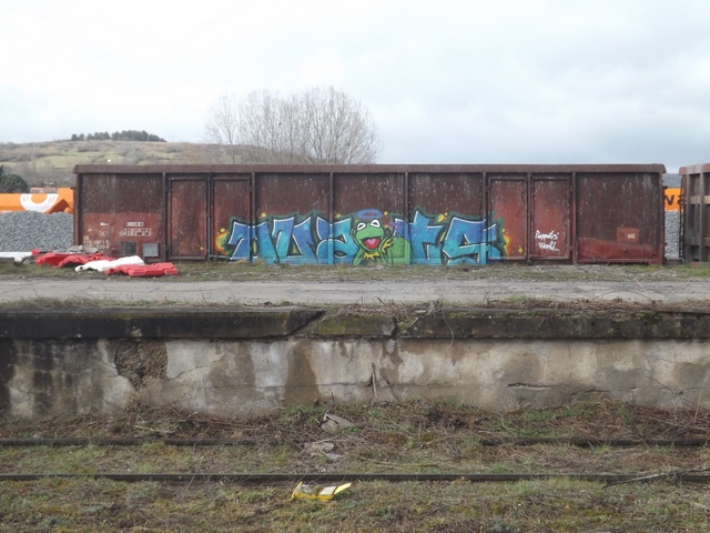 DSCF1660 (Copier).JPG