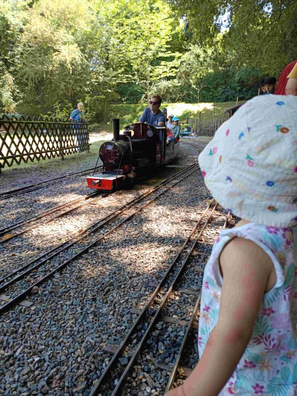 IMG_20250803_151609 2.jpg