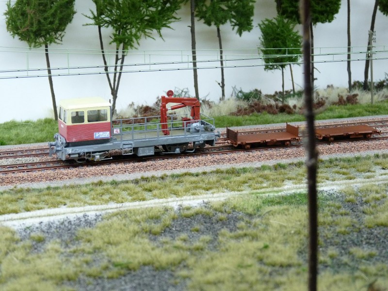 P1090136.JPG