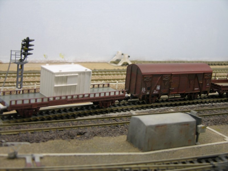 DSCN4450.JPG