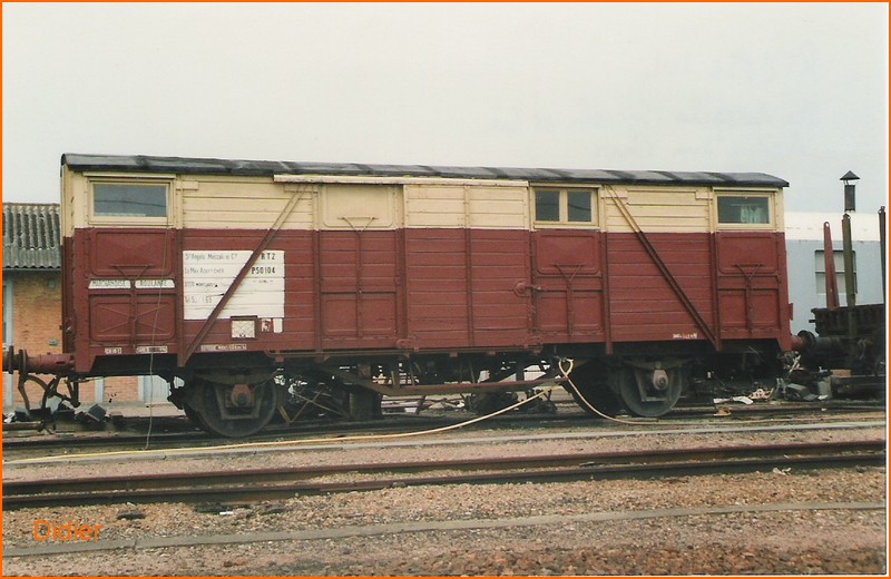 rt2pso104anglomeccoli.jpg