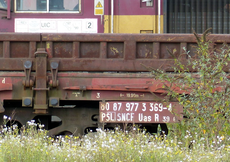 80 87 977 3 369-4 Uas R39 6 SNCF-PSL (2014-10-04 SPDC) + Pelleteuse TSO (2).jpg