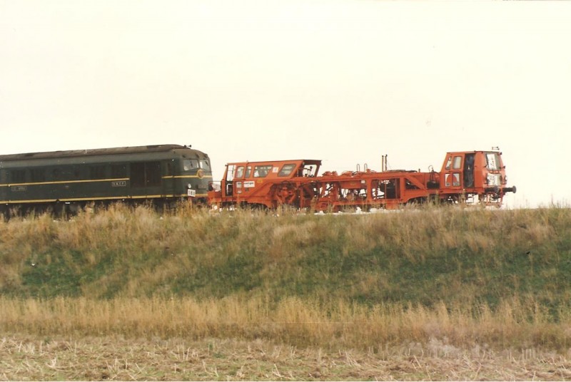 003.jpg (98.72 Kio) Vu 2597 fois 003.jpg