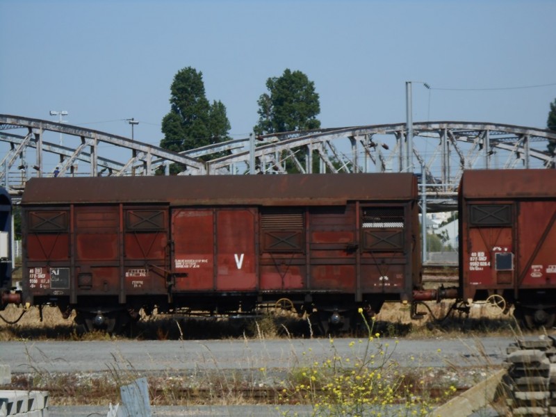 DSCN2744 [1024x768].JPG