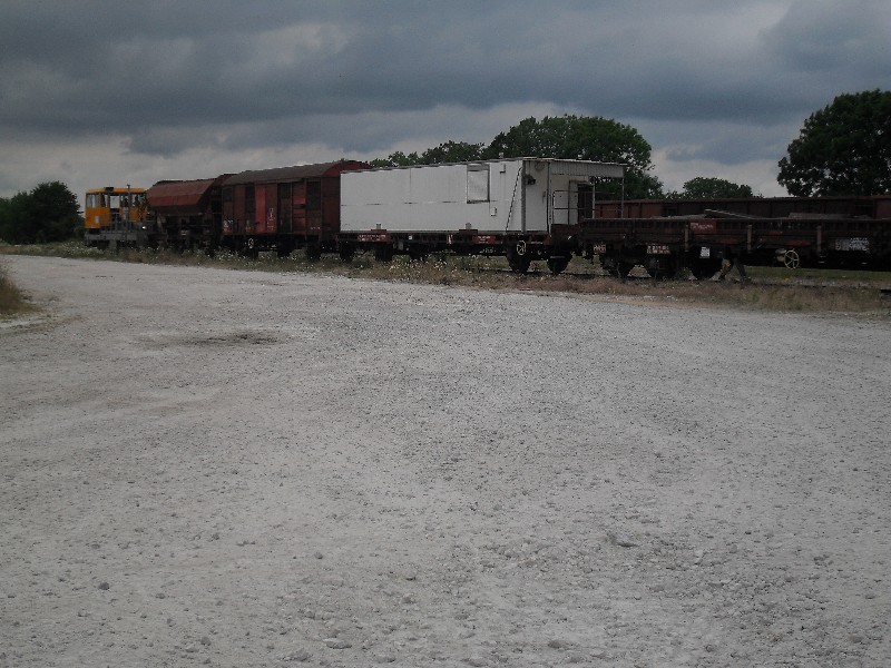 SDC11698.JPG