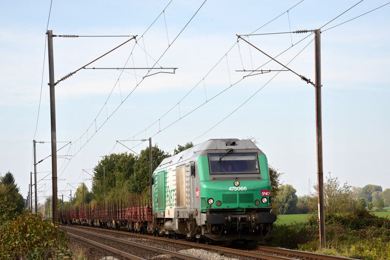 75066 (2017-10-19 Offre) n°66102.jpg