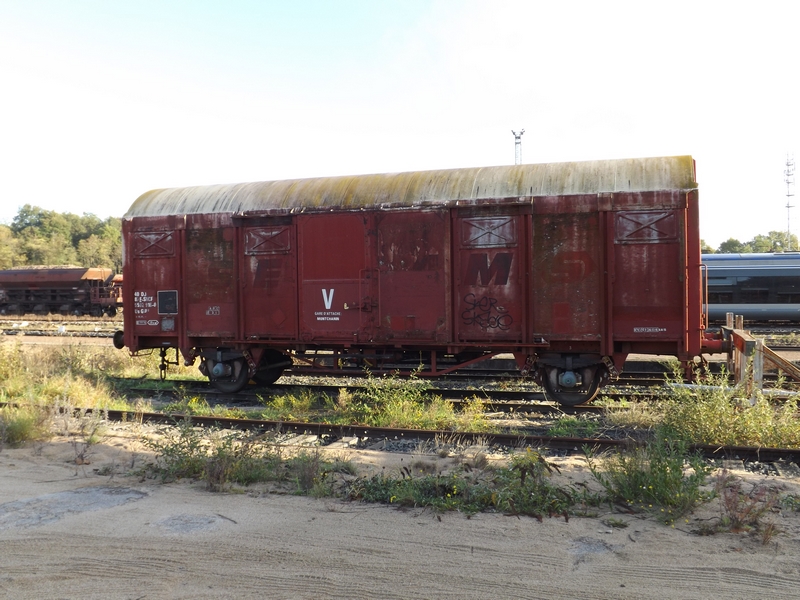 DSCF8173 (Copier).JPG