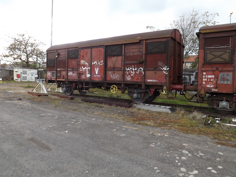 DSCF8743 (Copier).JPG