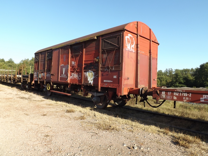 DSCF8303 (Copier).JPG