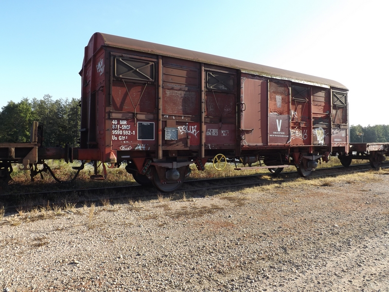 DSCF8306 (Copier).JPG