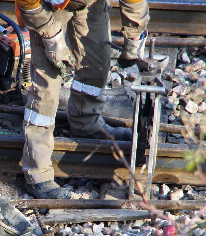 2018-02-22 bif de Jussy (4).jpg (306.79 Kio) Vu 2147 fois 2018-02-22 bif de Jussy (4).jpg