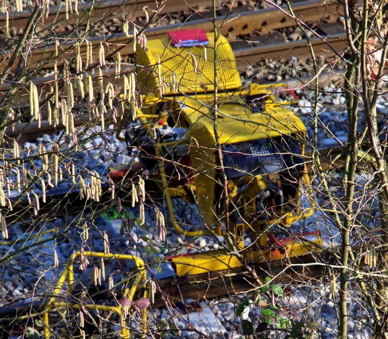 2018-02-22 bif de Jussy (2).jpg (394.08 Kio) Vu 2153 fois 2018-02-22 bif de Jussy (2).jpg